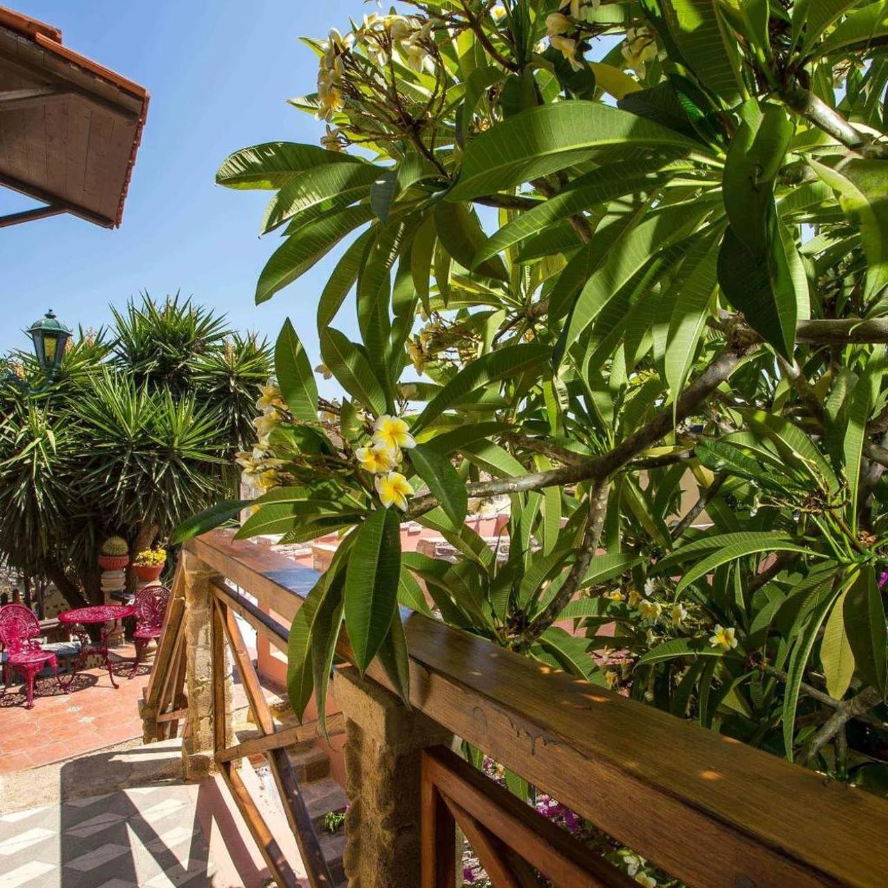 Attiki Hotel photo