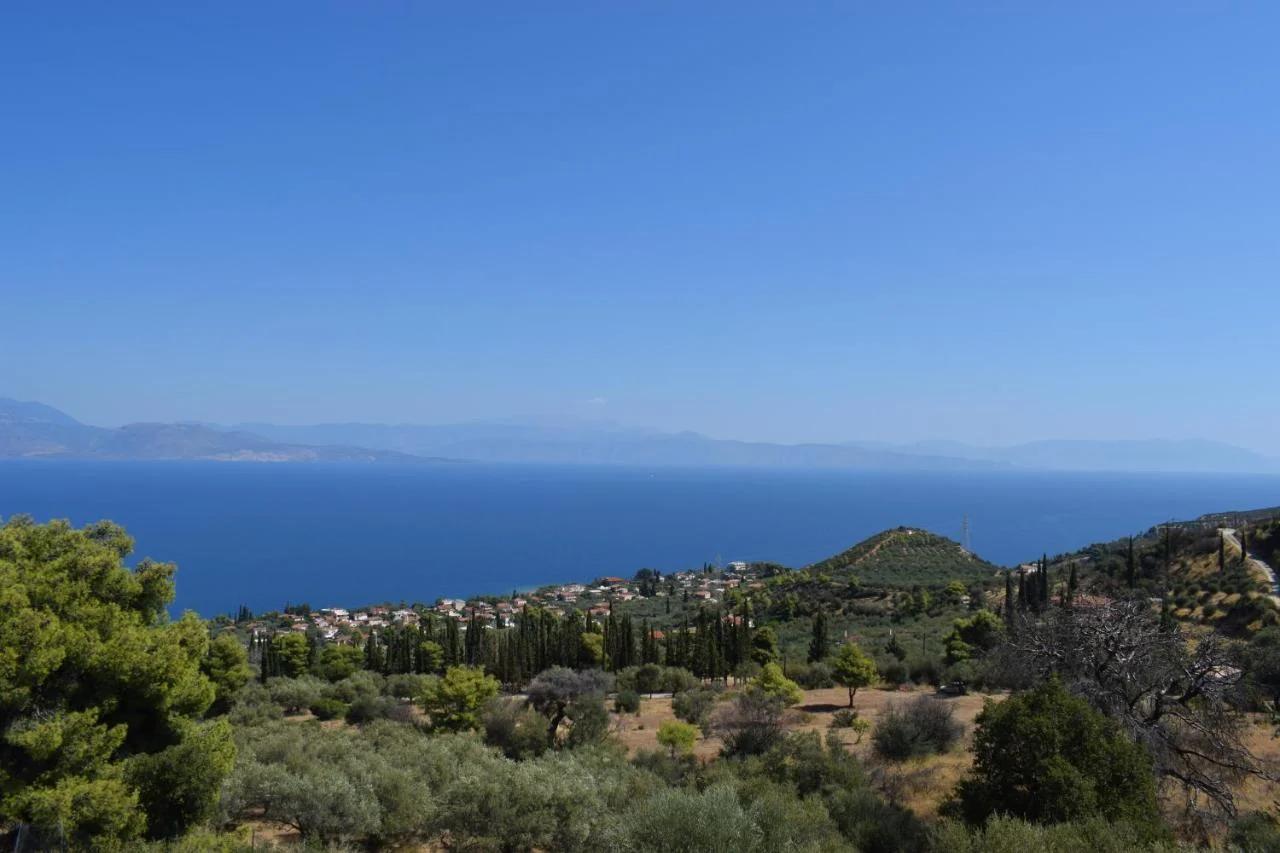 Farma Koudoura photo