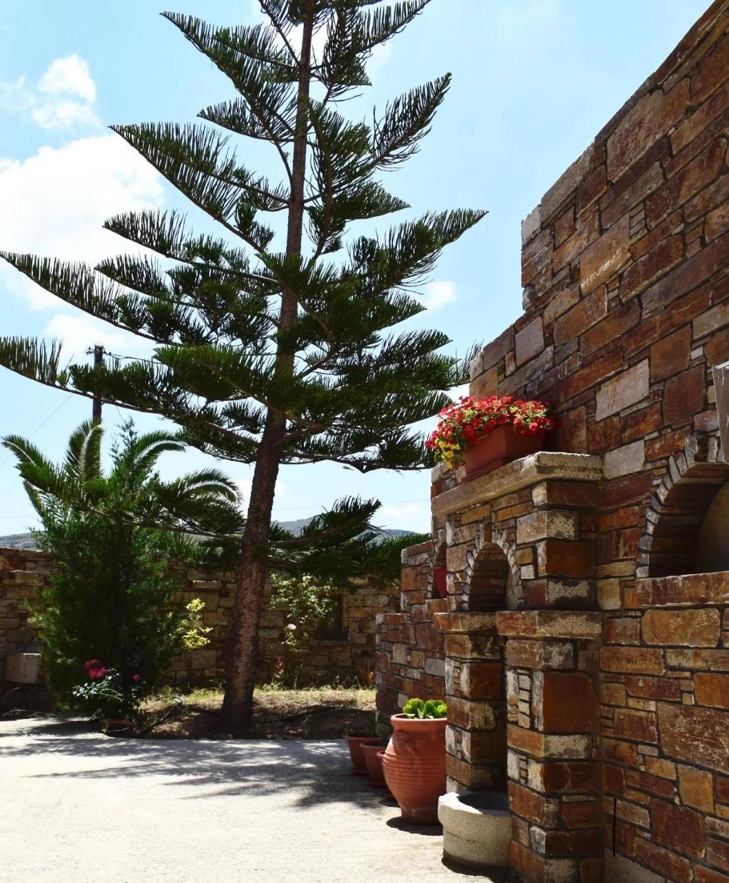 Tranquil Apartments photo