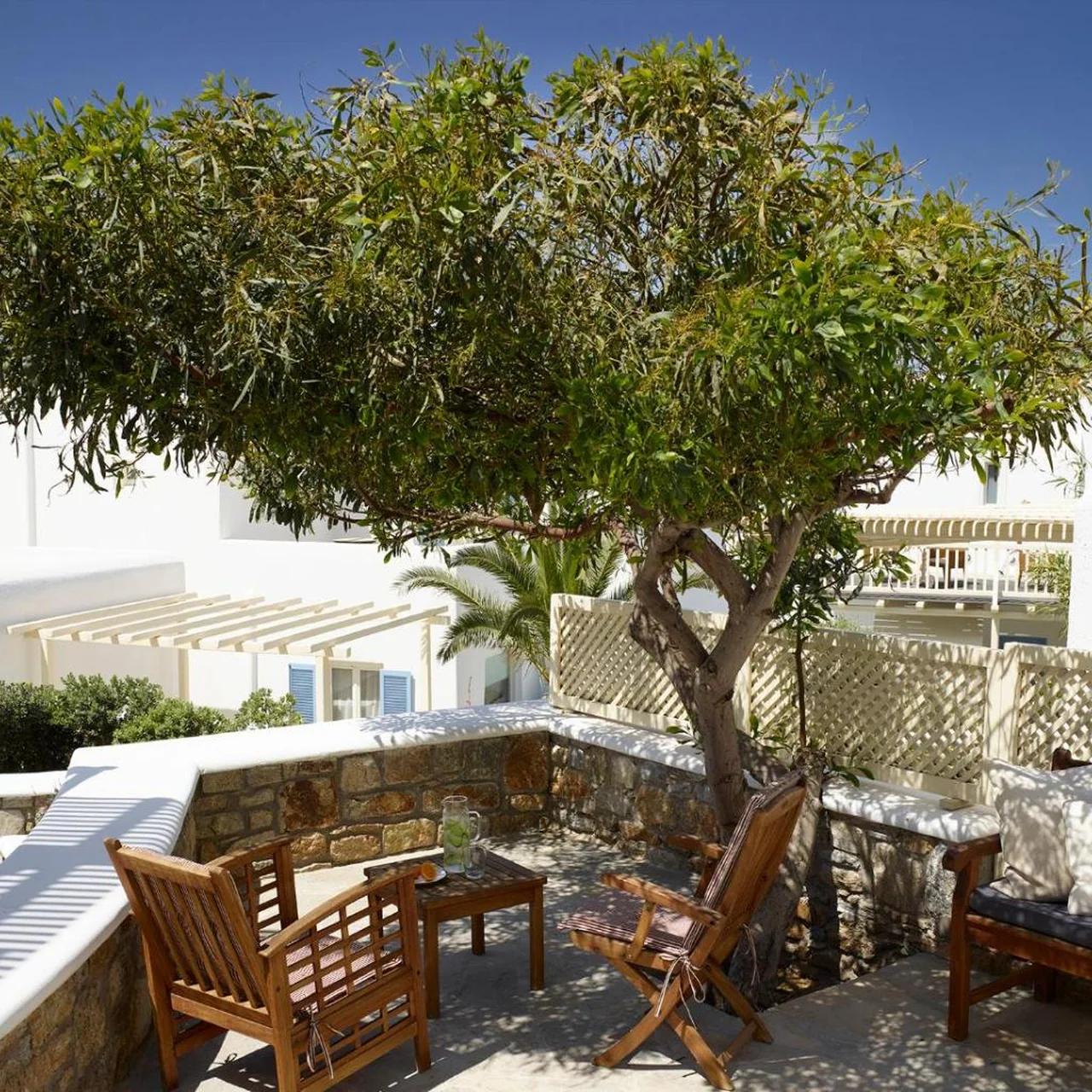 Vencia Boutique Hotel photo
