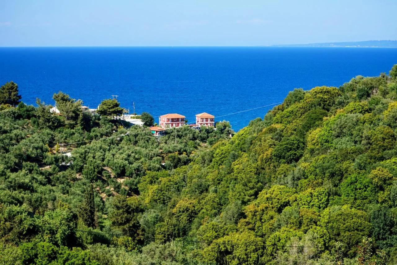 Villa Levante foto