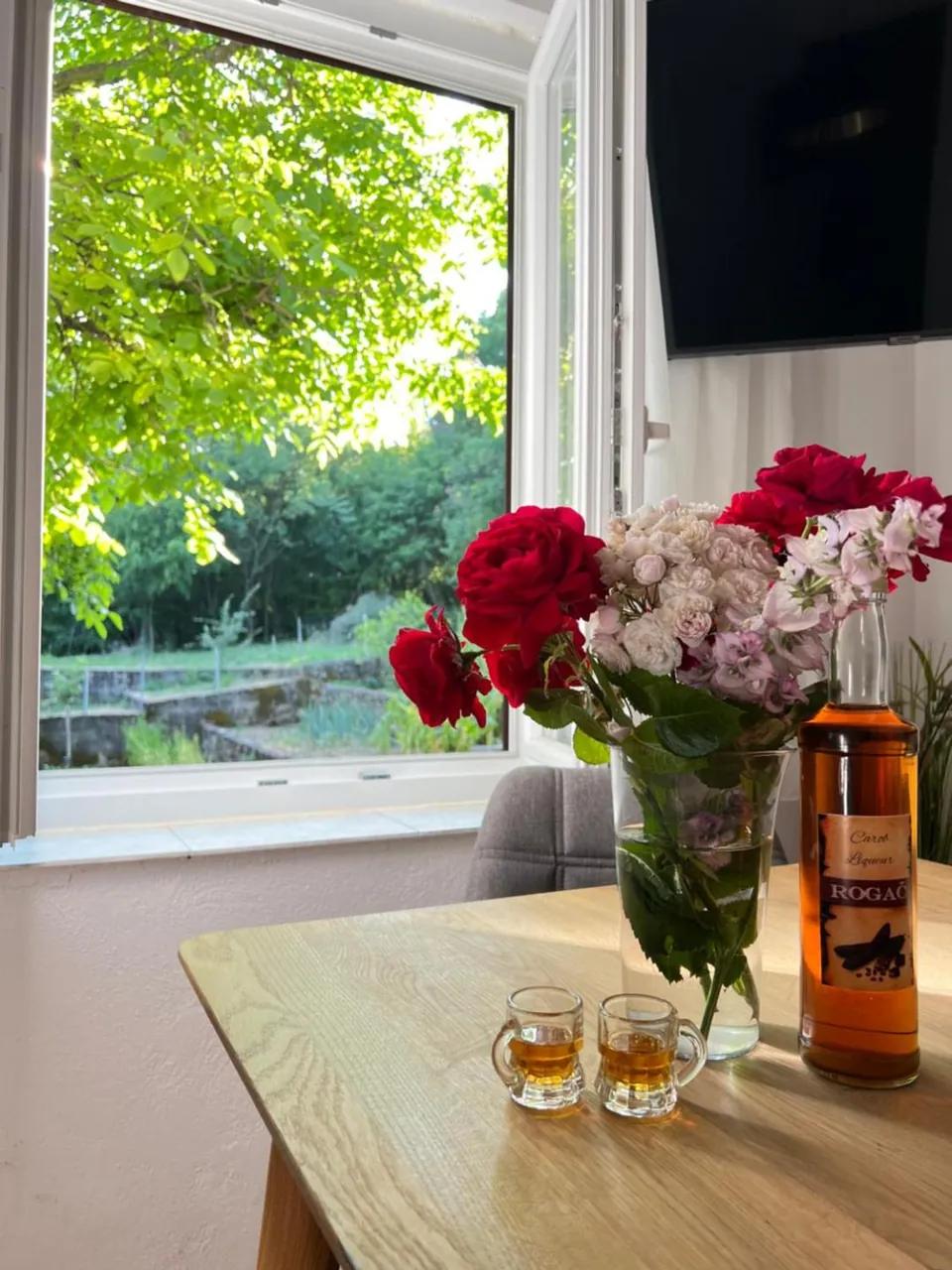 Apartman ANA photo