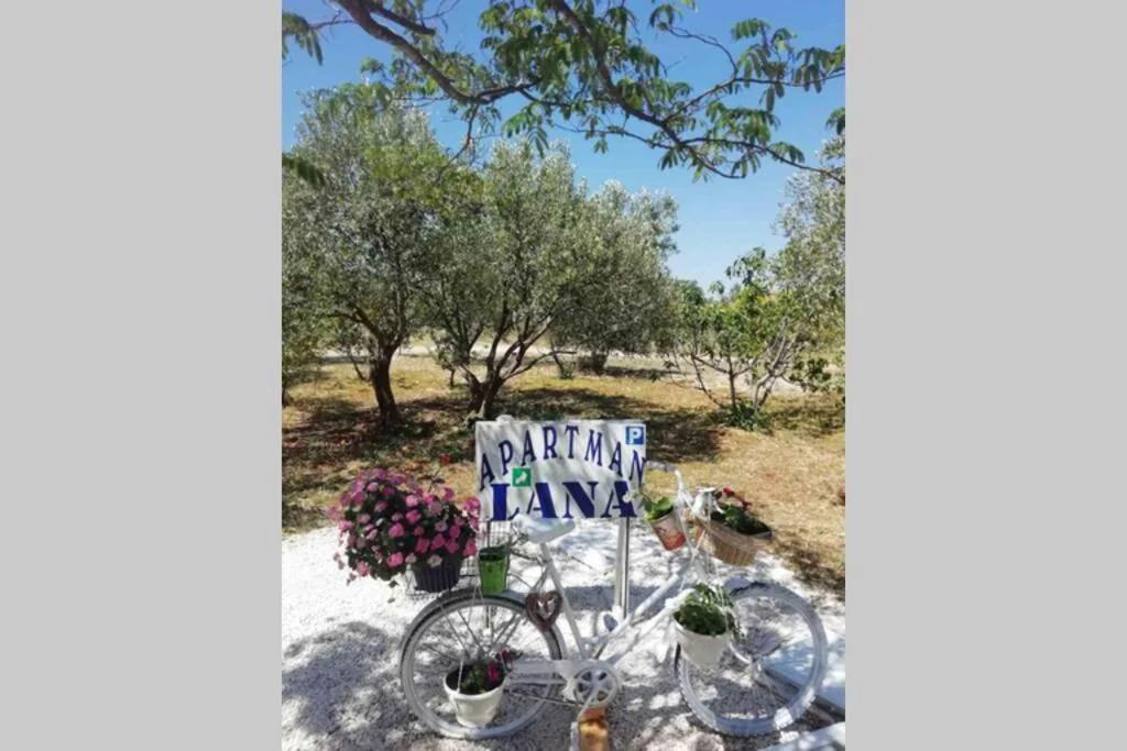 Apartman Lana photo