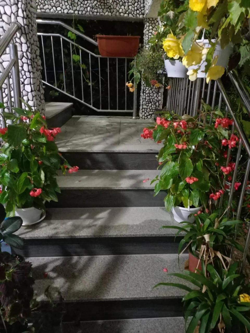Apartman Varcar photo