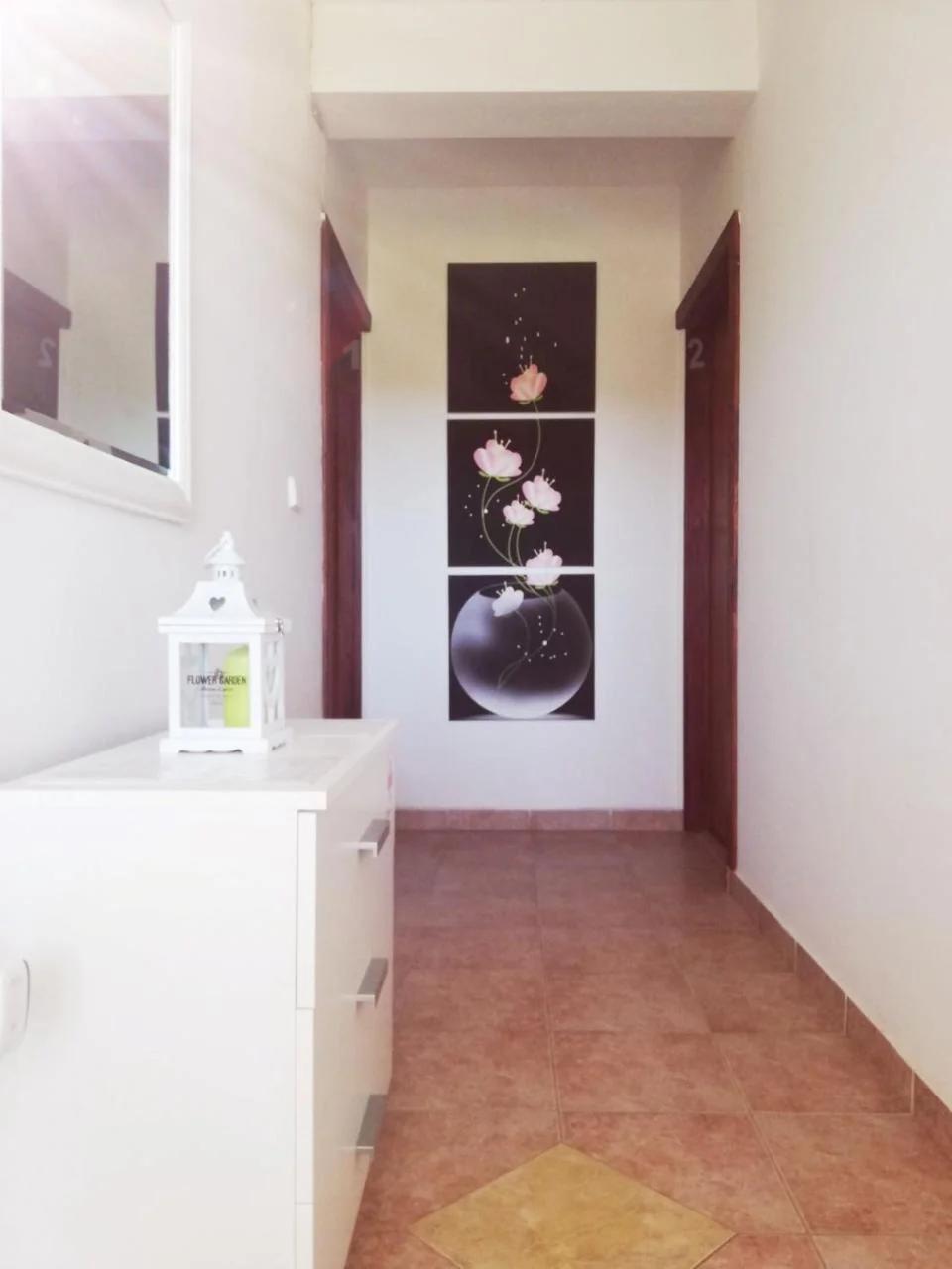 Apartmani Danica photo