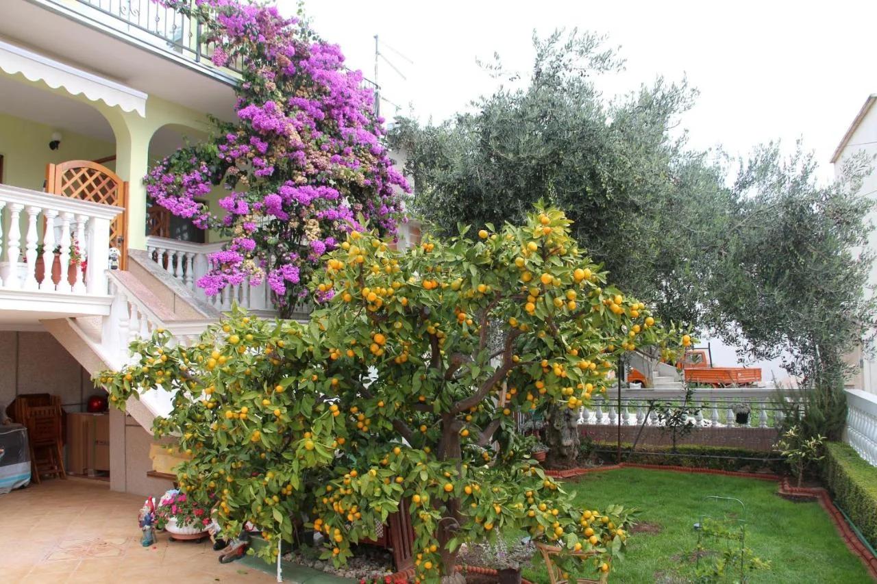 Apartmani Gojević photo