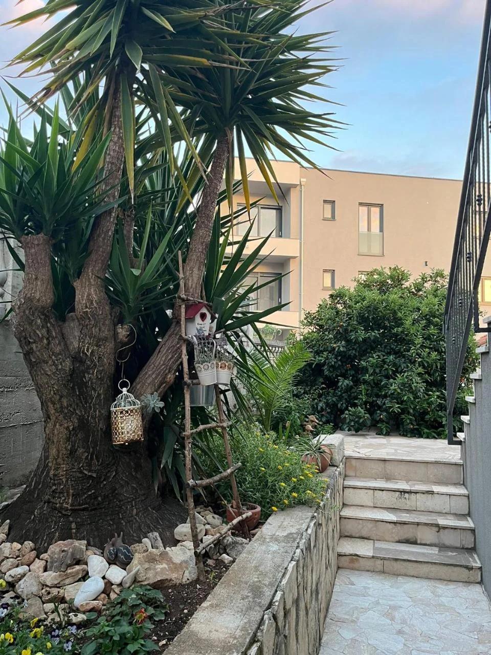 Apartmani MM foto