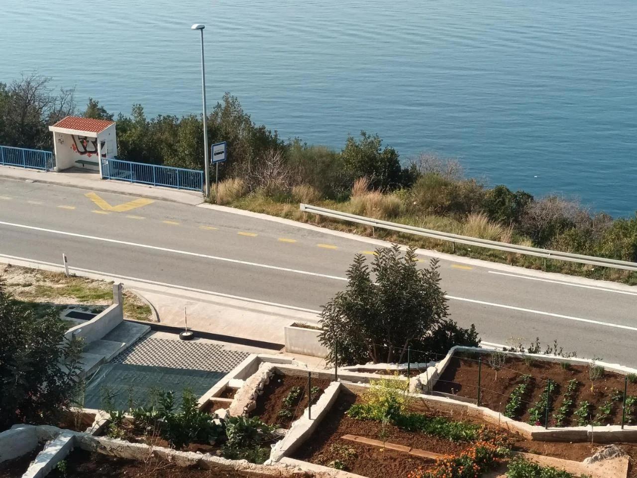 Apartmani NIKA photo