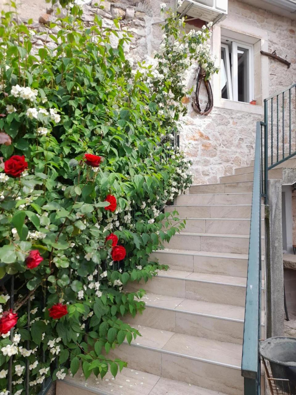 Apartmani Sanja photo