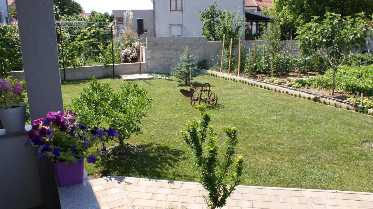 Apartments Nika photo