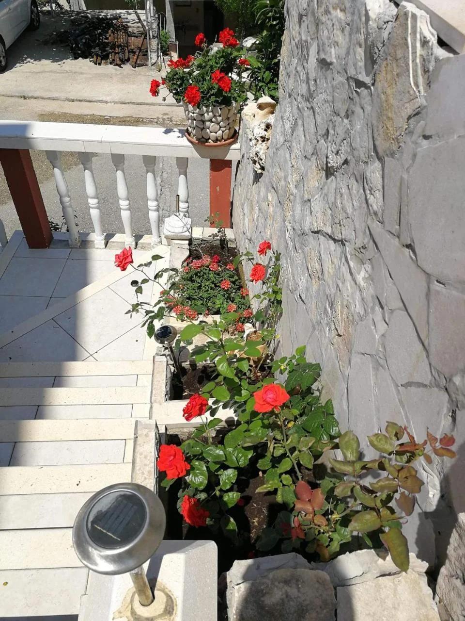 Apartments Ustavdic photo