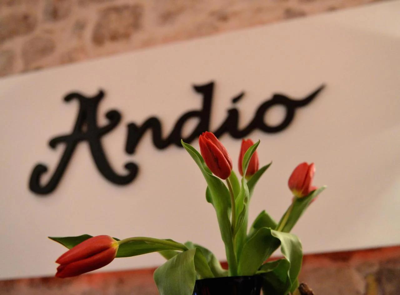 Bed&Breakfast Andio photo