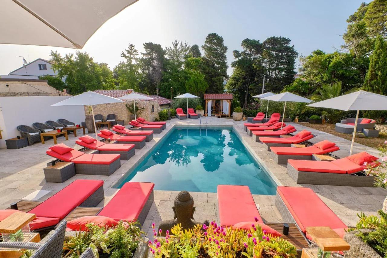 Dolphin Suites photo