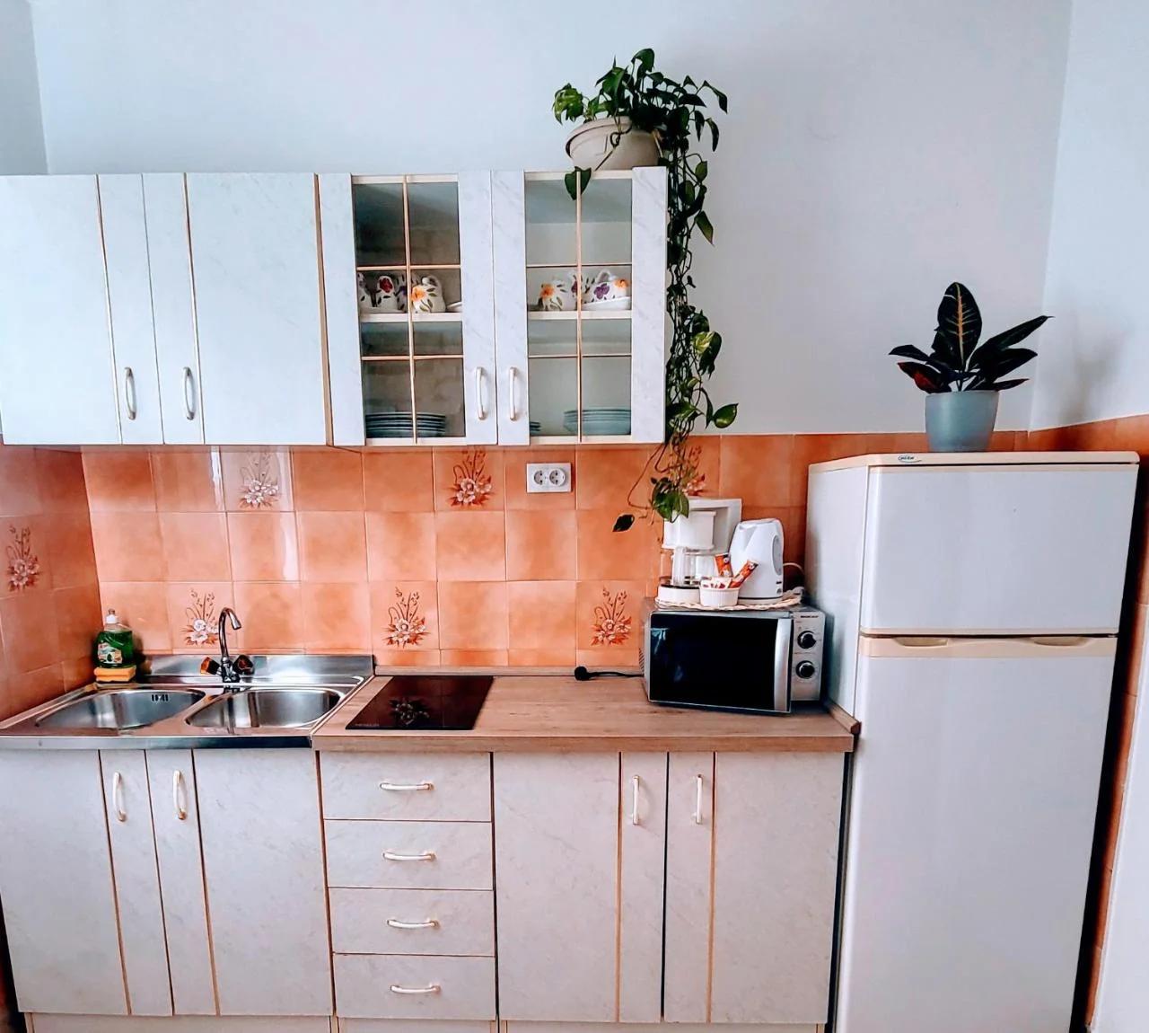 Guest house Licul foto