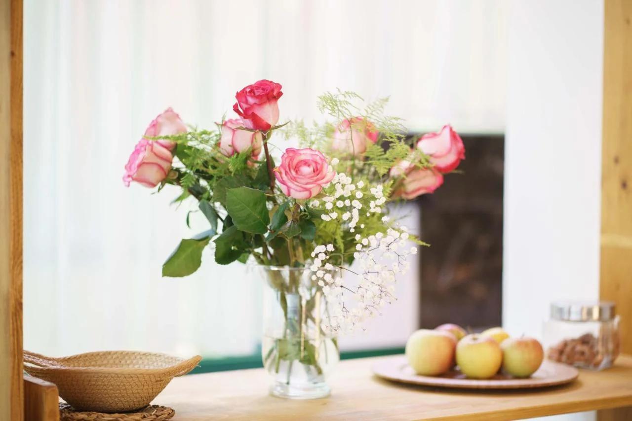 Hortensia photo