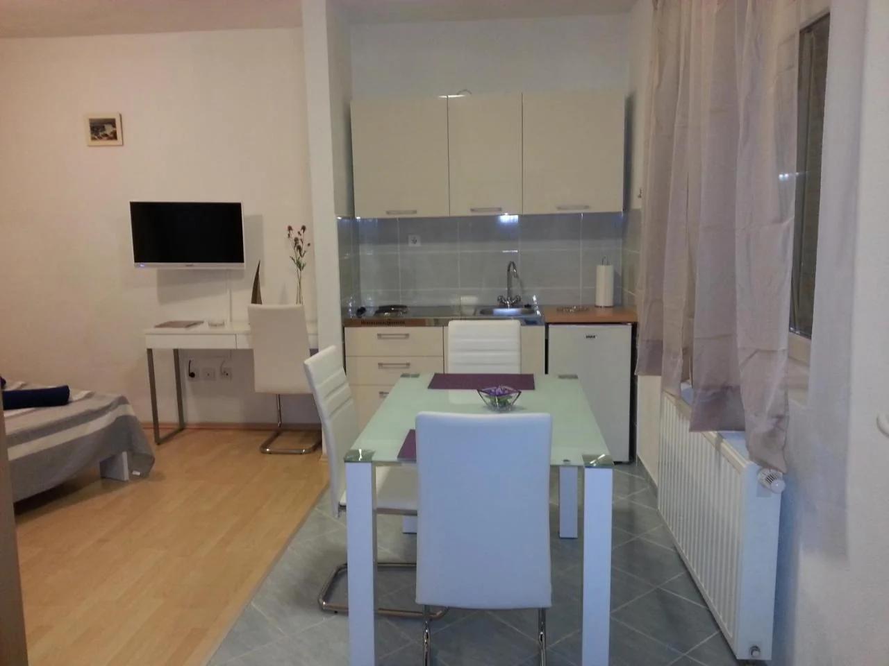 New Studio Apartments Trlaja photo