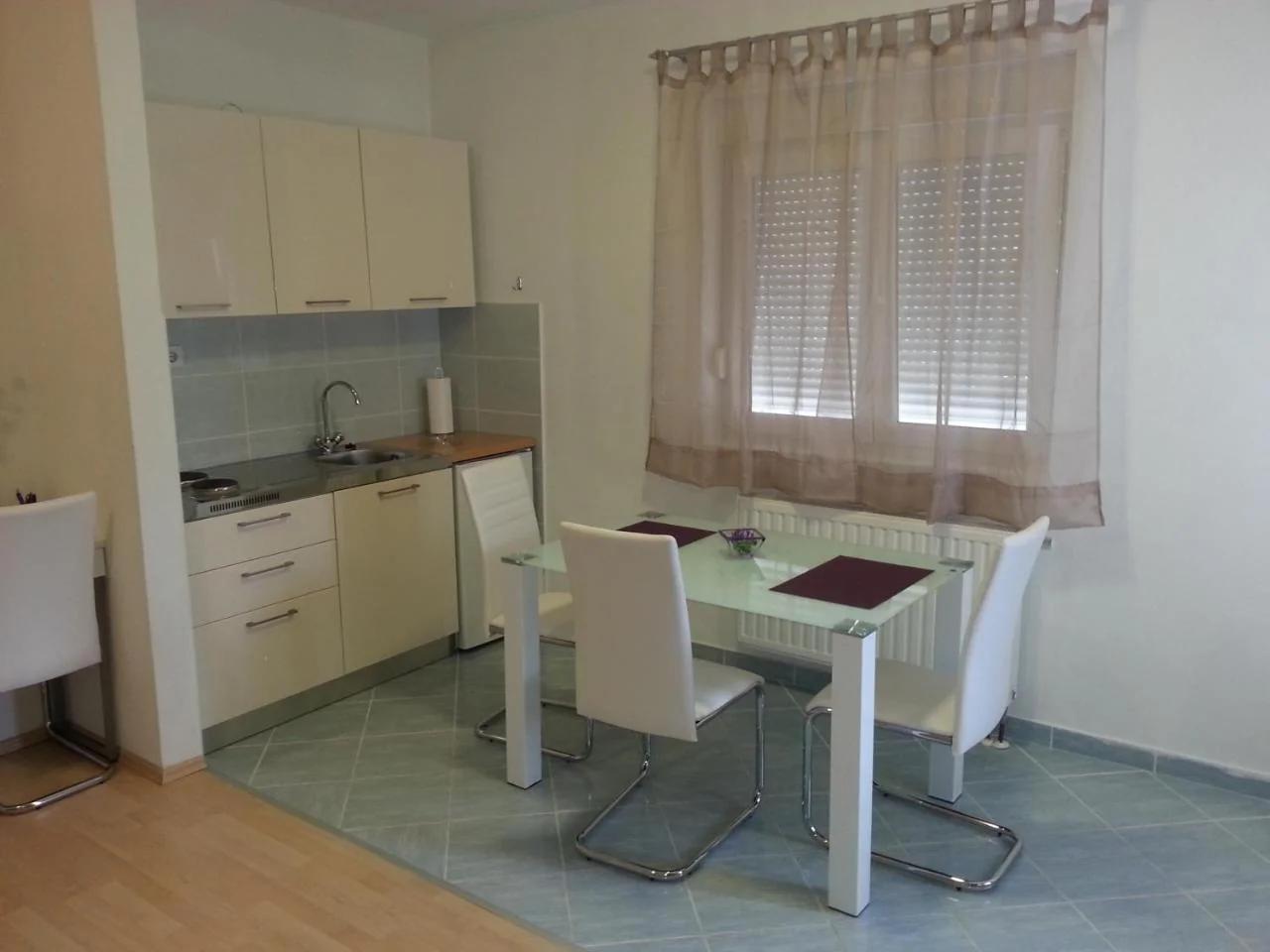 New Studio Apartments Trlaja photo