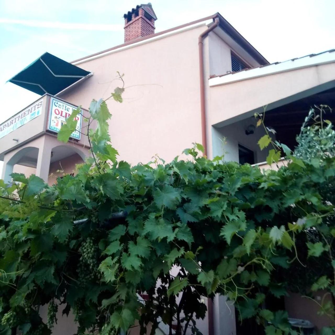 Olimp bar apartman4 photo