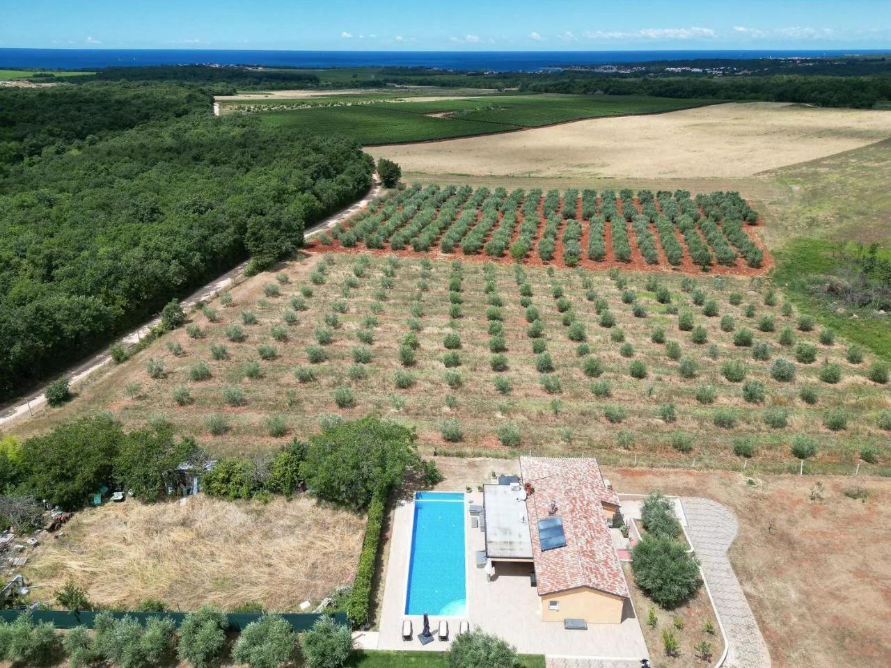 Villa Absolute privacy foto
