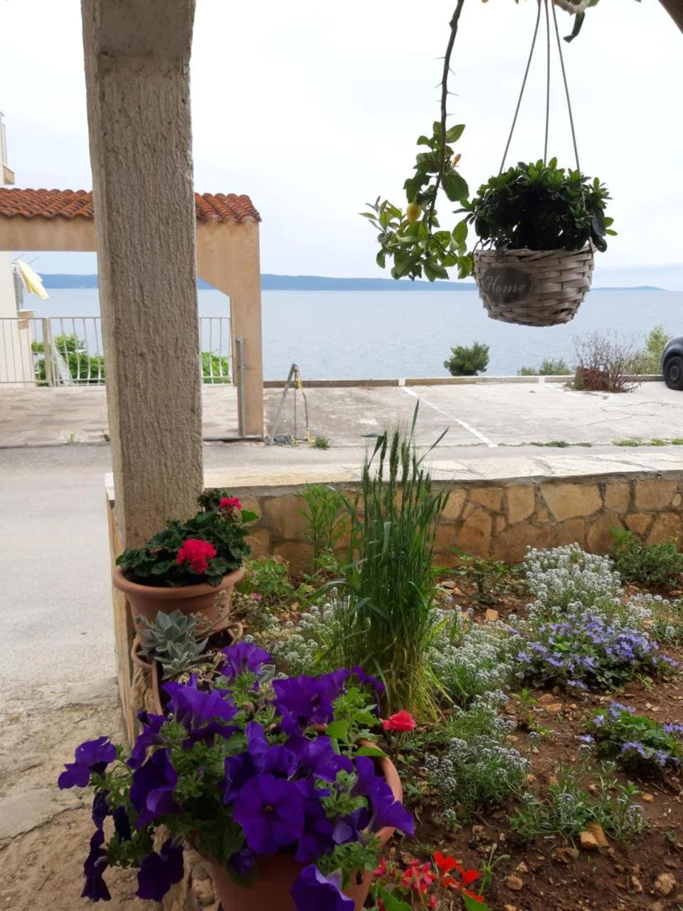 Villa Kovačević foto