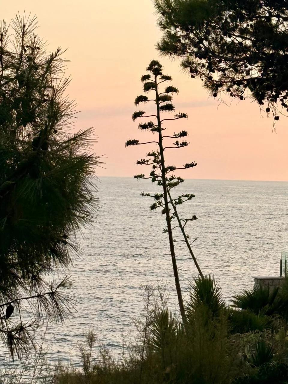 Villa Misita Elegant SeaView Rooms photo