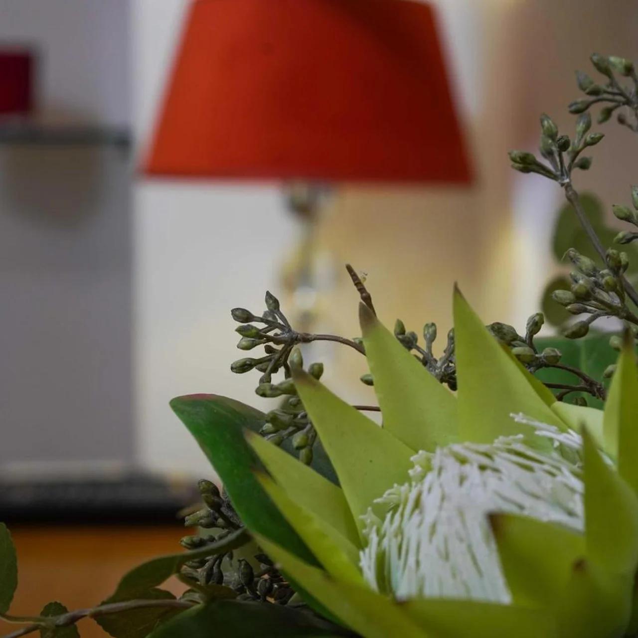 Boutique Guest Accommodation Zephyrus photo