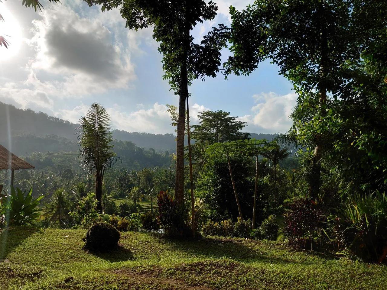 Abian view house foto