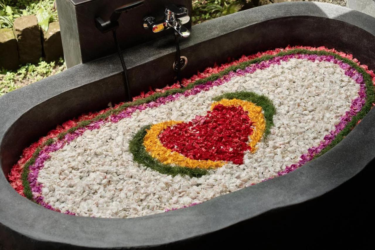 Agrapana Ubud Villa foto