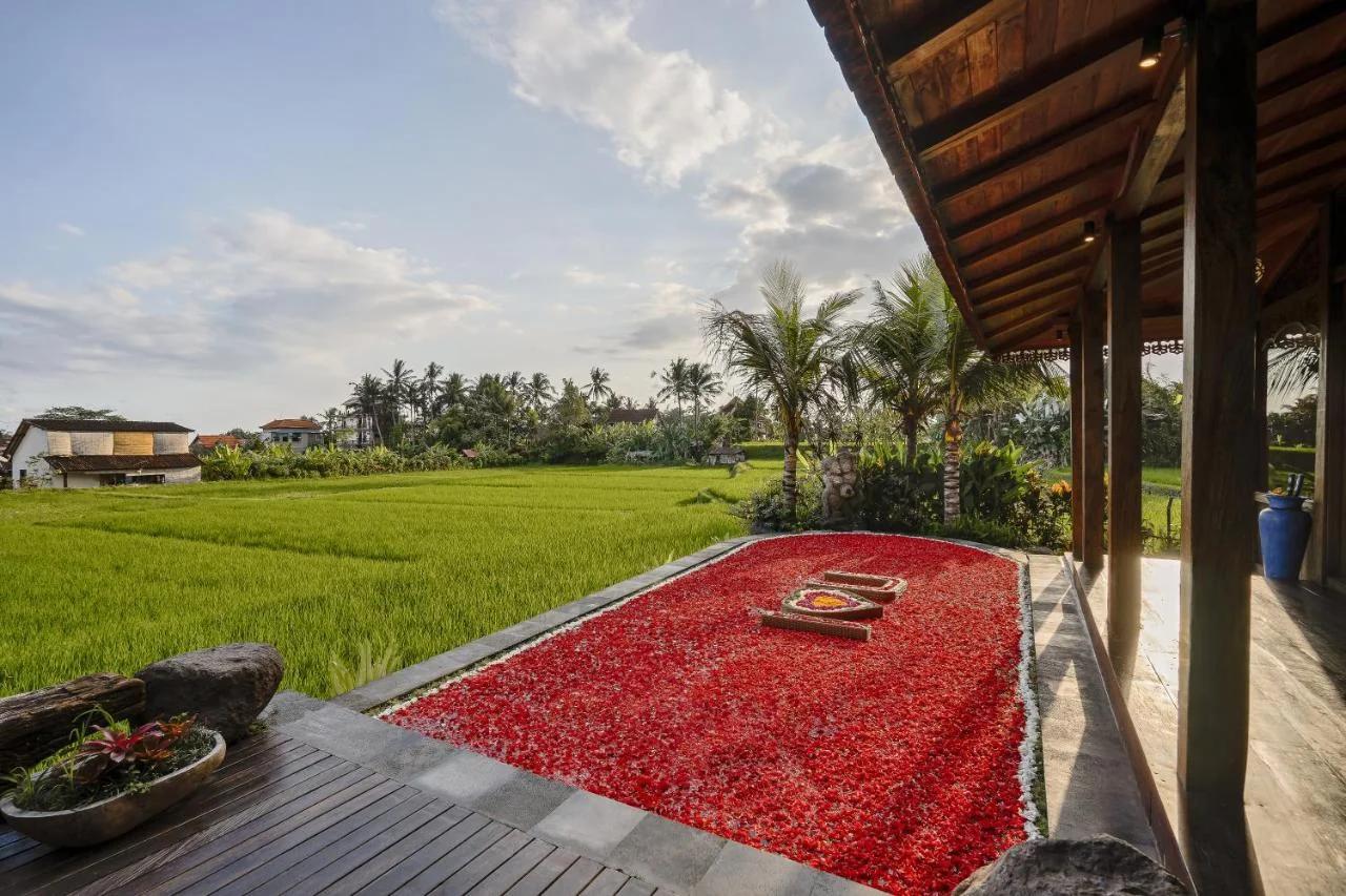Airsania Ubud Antique Villas photo