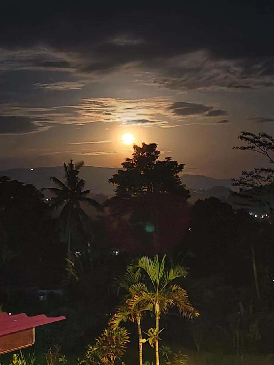 Arta dani villas foto