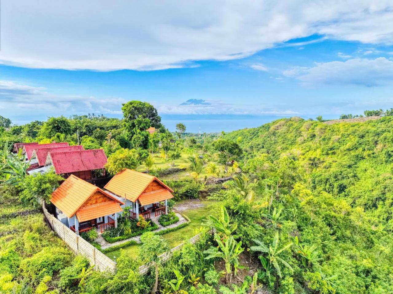 Ayu Hill Bungalows photo