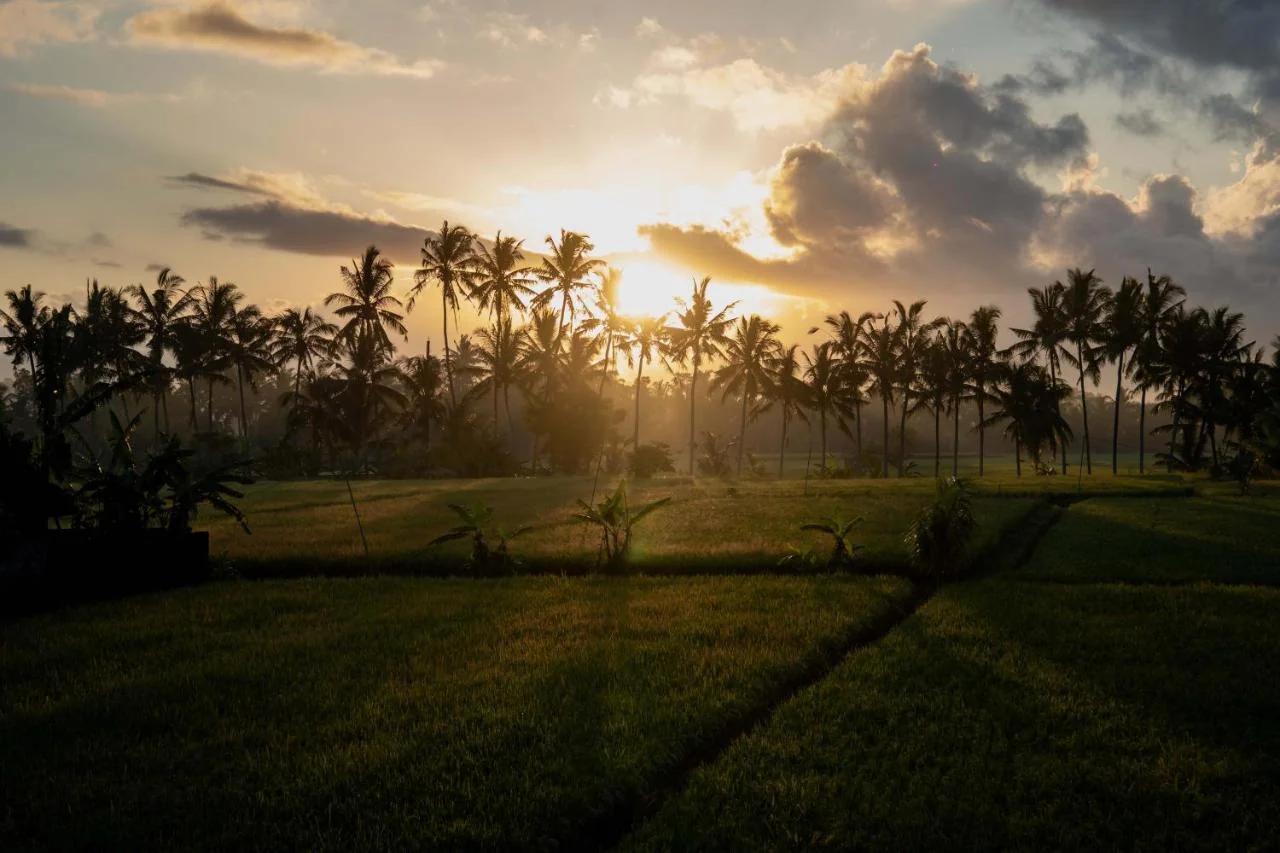 Bali Kesiwi Ubud foto