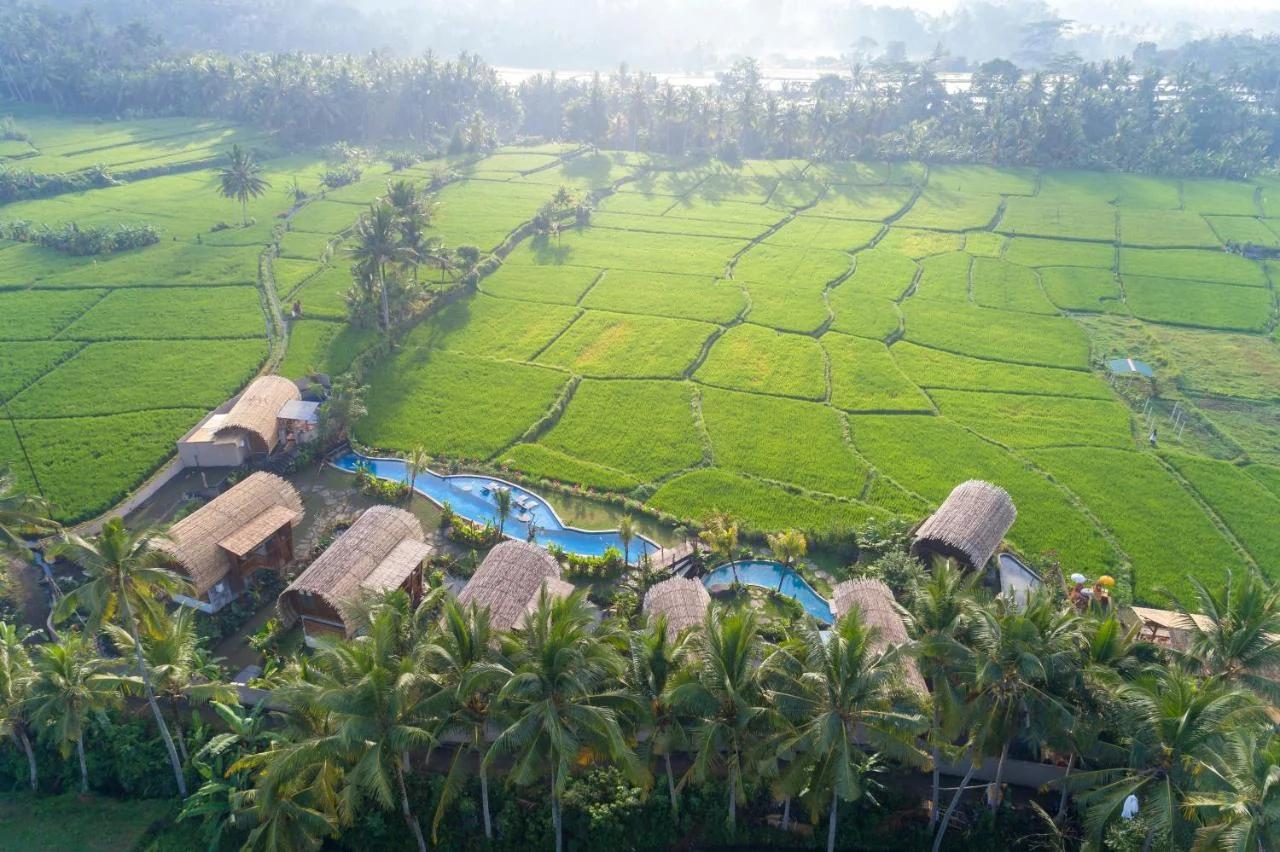Beehouse Dijiwa Ubud photo