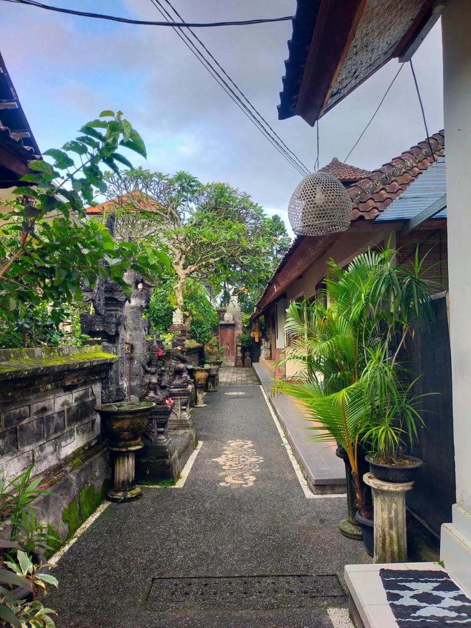 DANU HOUSE UBUD photo