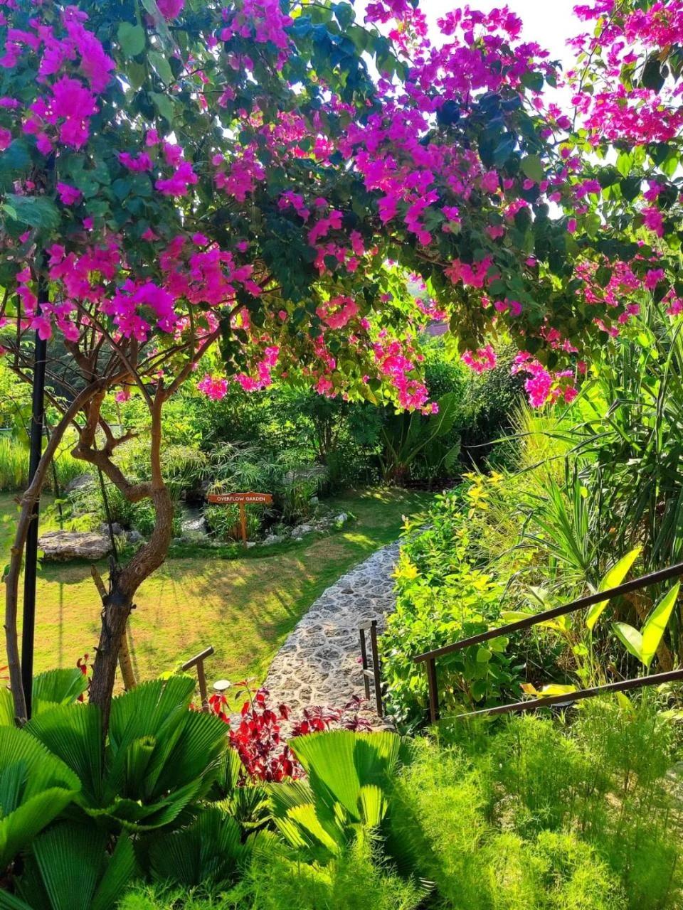 Deep Roots Dive & Yoga Resort photo