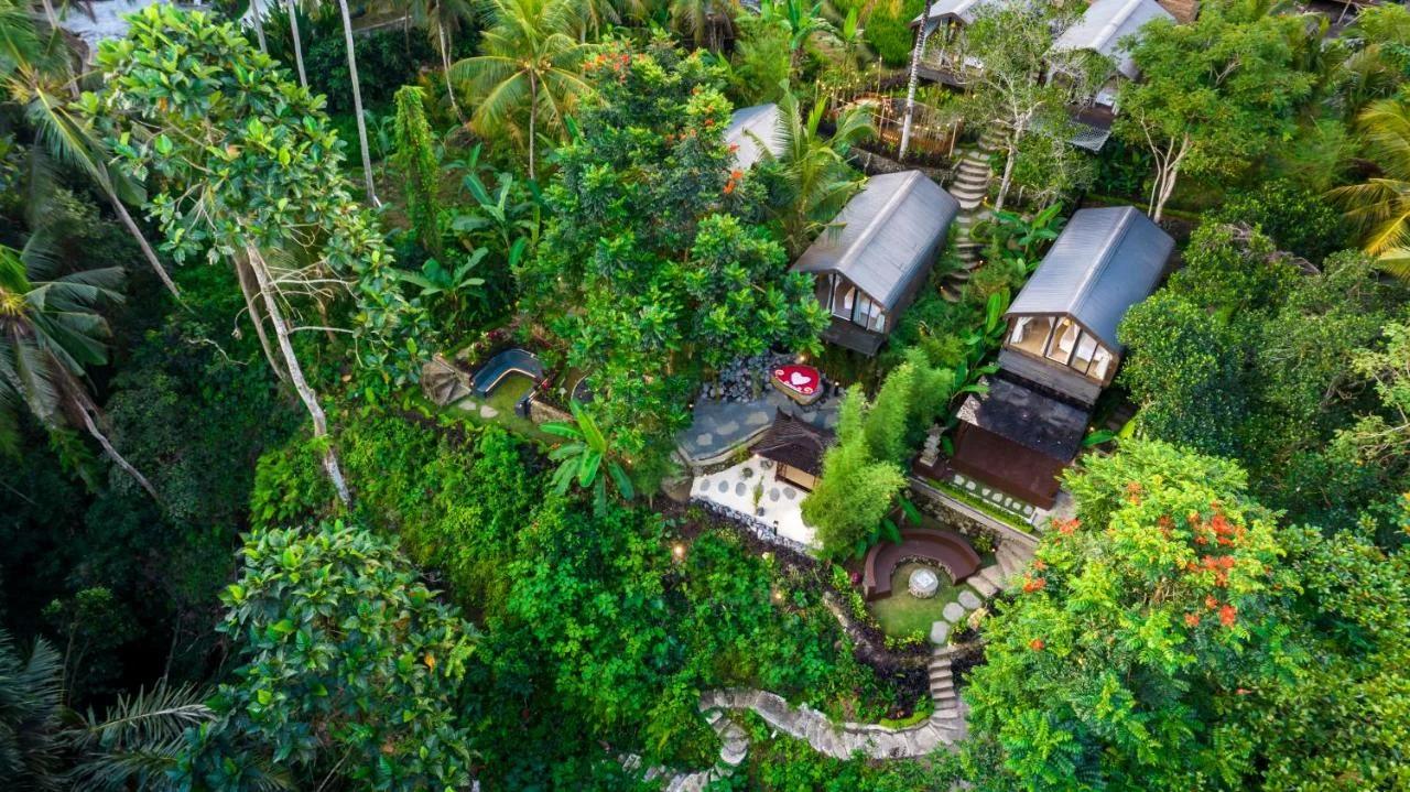 Home Hotel foto