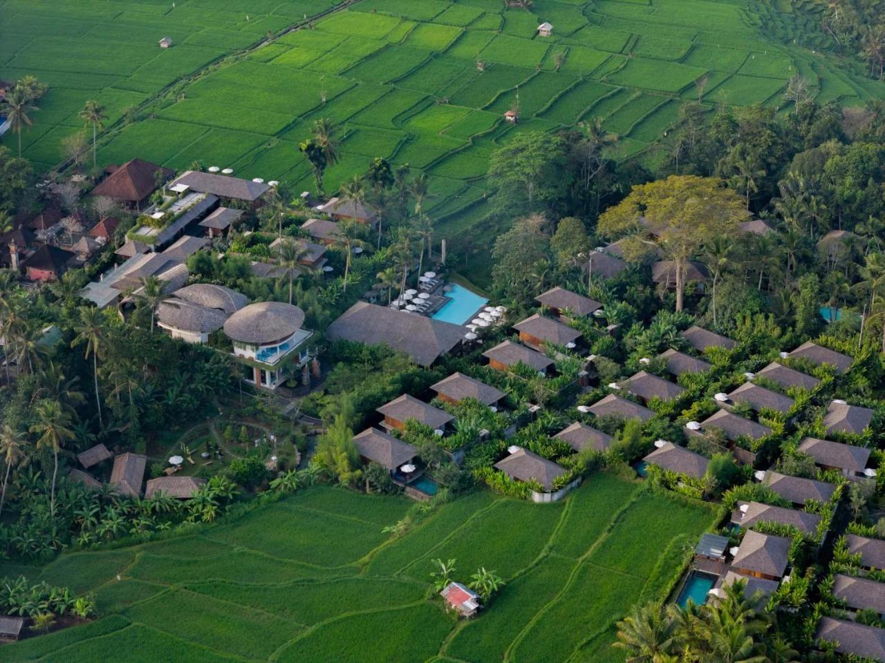 Kappa Senses Ubud foto