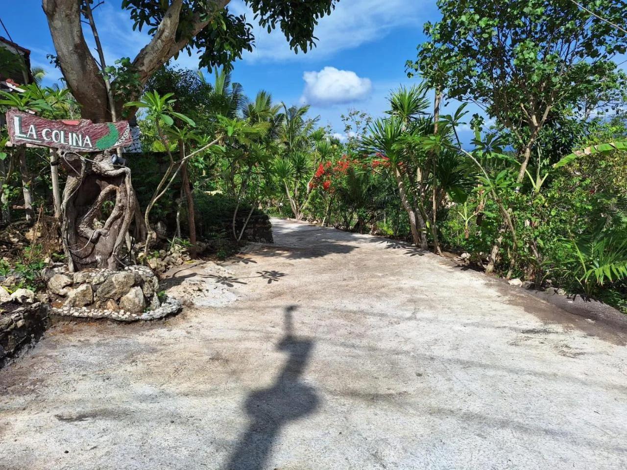 La Colina Bungalow photo