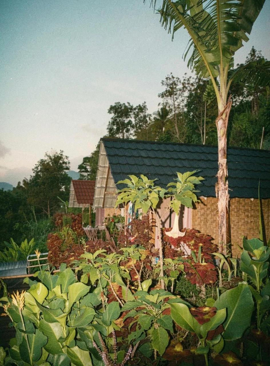 Laa Cabana Lombok Glamping photo