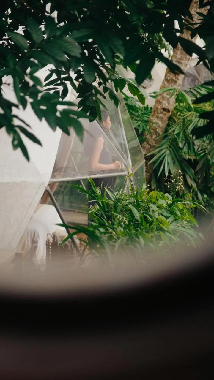 Lintang Luku Tent Resort Ijen, Banyuwangi photo