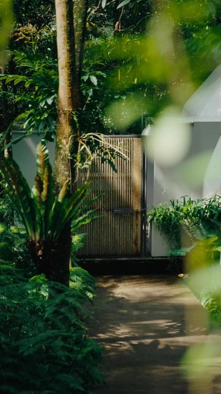 Lintang Luku Tent Resort Ijen, Banyuwangi photo