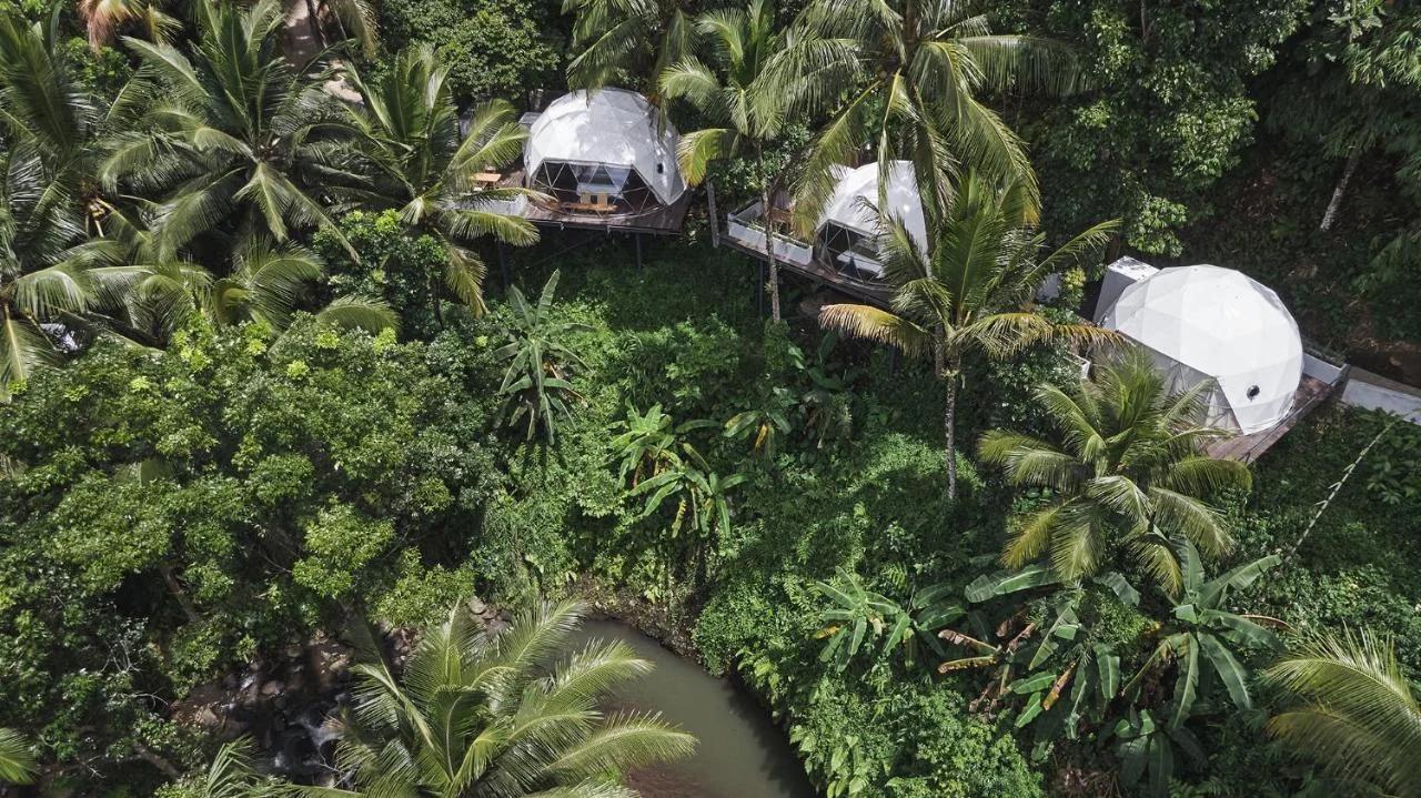 Lintang Luku Tent Resort Ijen, Banyuwangi photo
