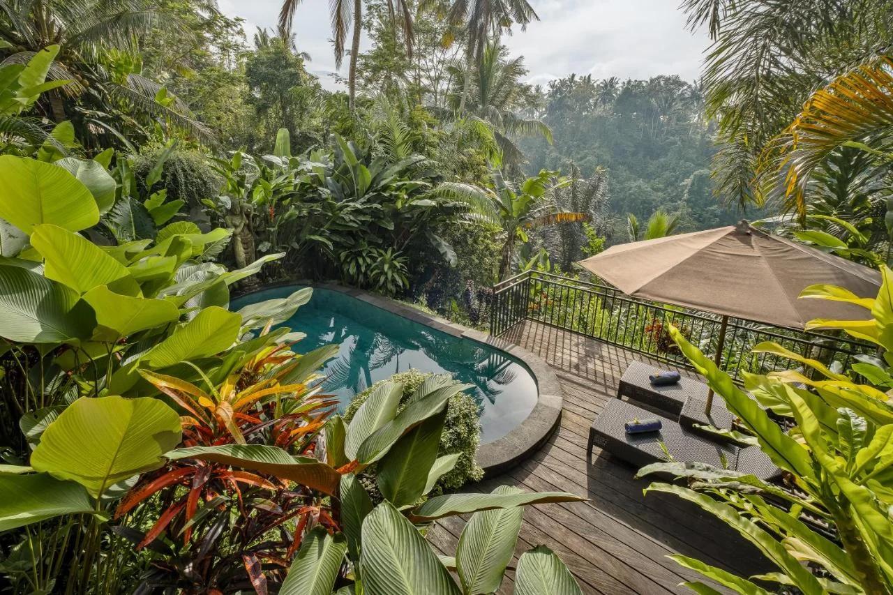 Mandana Ubud Villa foto