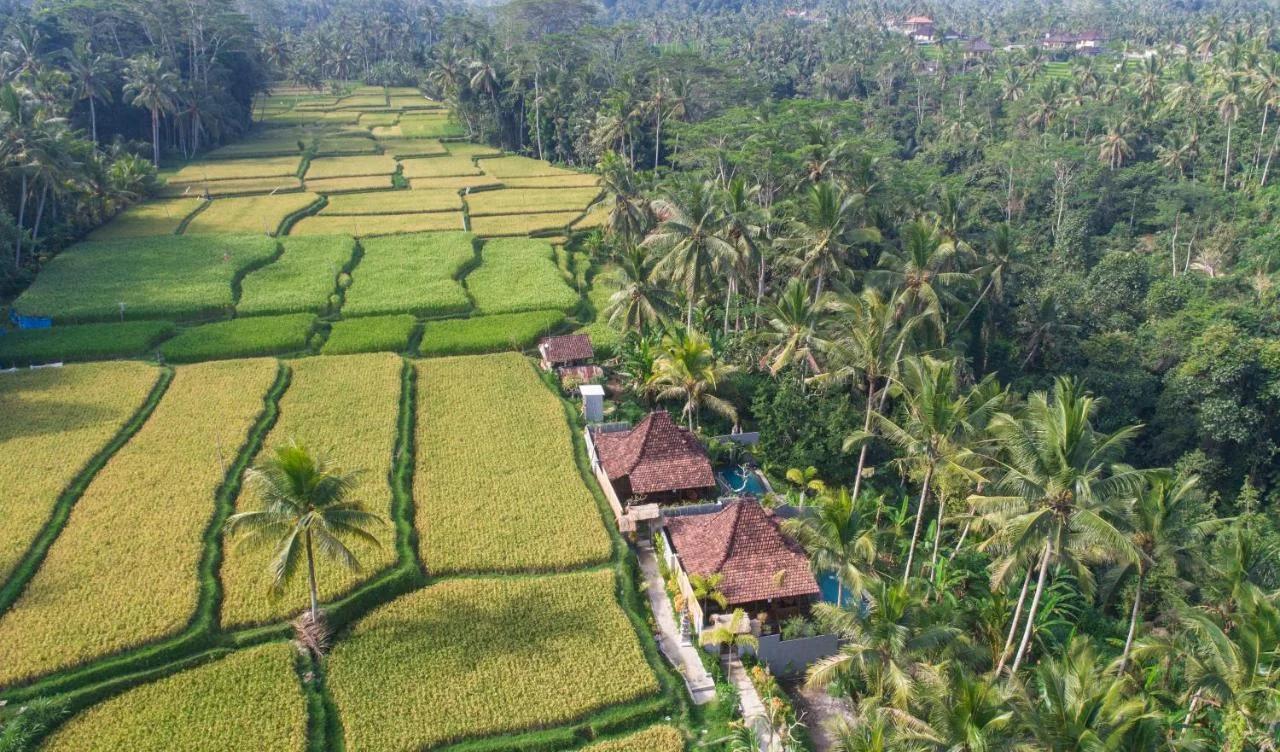 Mandana Ubud Villa foto