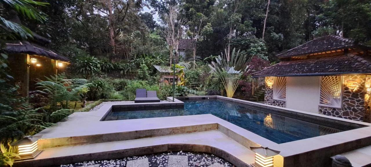 Mi Casa - The gem of Ijen foto