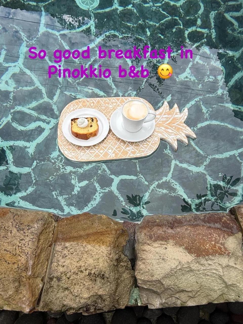Pinokkio Bed and Breakfast photo