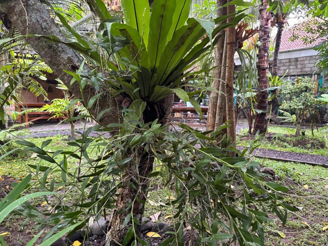 Teluk Biru Homestay photo