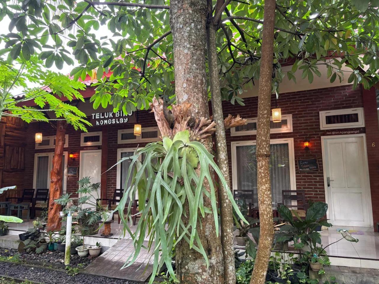 Teluk Biru Homestay photo