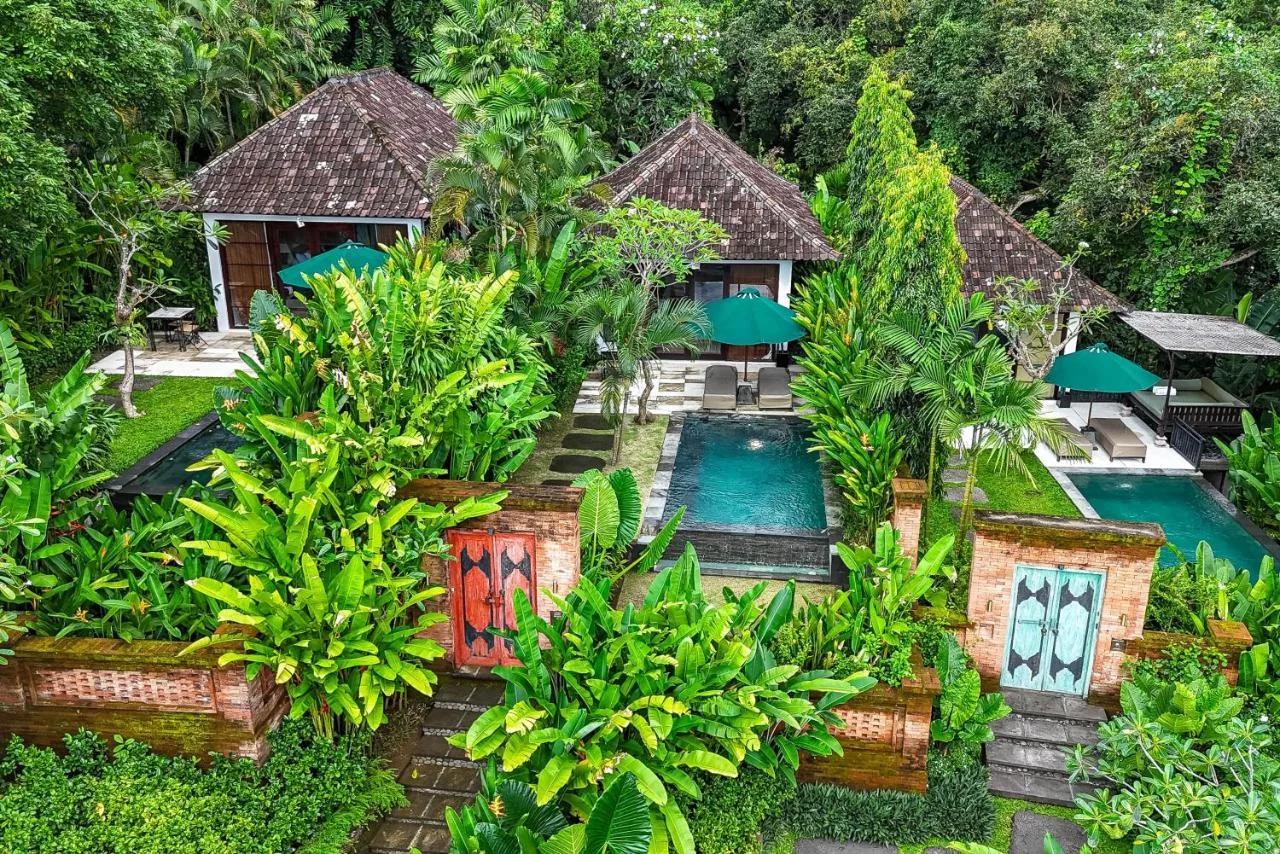 The Damai foto