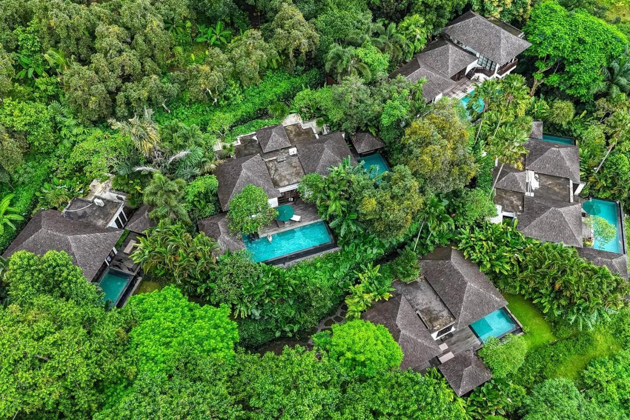 The Damai foto